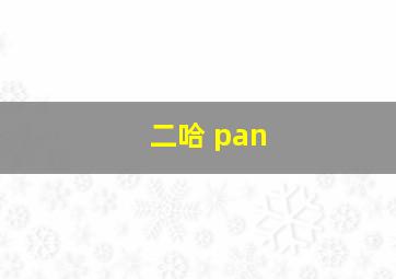 二哈 pan